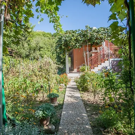 House With Large Garden Right Next To The River