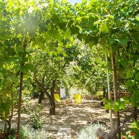 House With Large Garden Right Next To The River Semesterbostad Žrnovnica