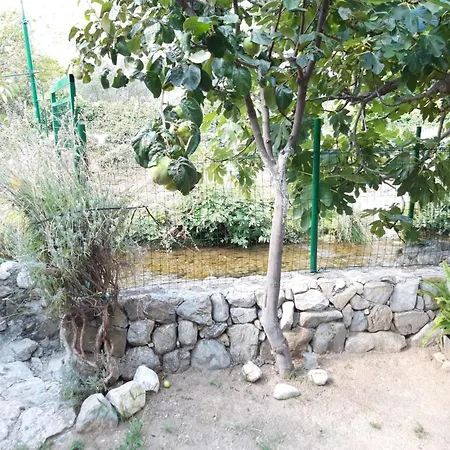 House With Large Garden Right Next To The River