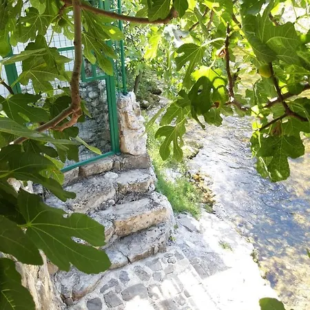House With Large Garden Right Next To The River Žrnovnica