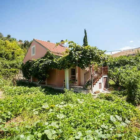 House With Large Garden Right Next To The River